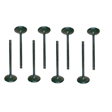 1584019 Exhaust Valve for Engine