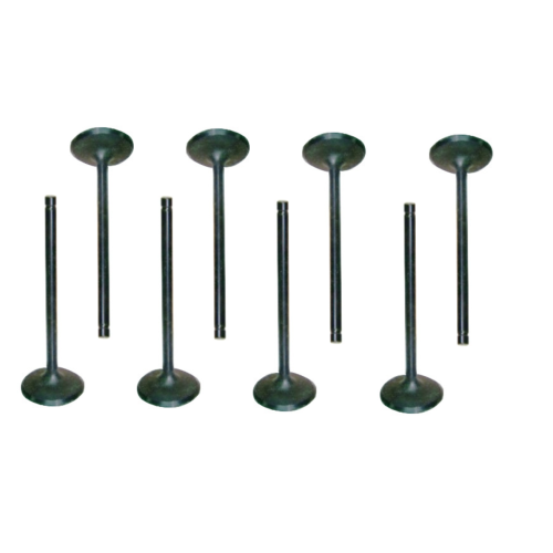 1584019 escape de la válvula