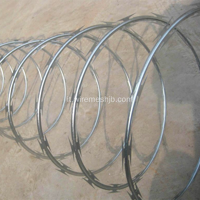 Razor Wire Fence-Single Coil Type