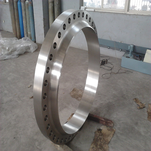 BS Stainless Steel Welding Neck Flange