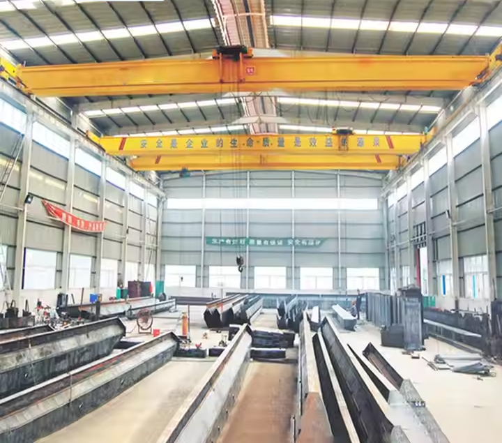 LDA Single Girder Overhead Crane 12