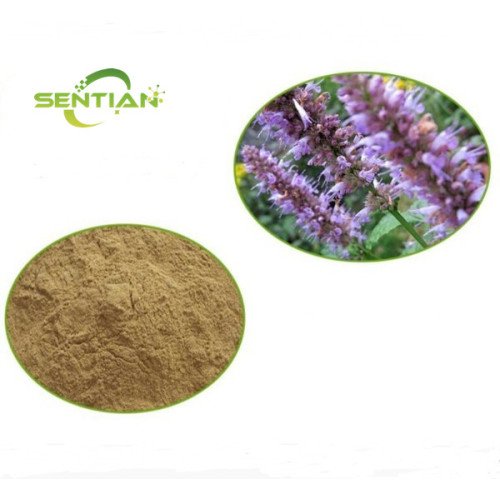 Agastache rugosa extract Powder Sale