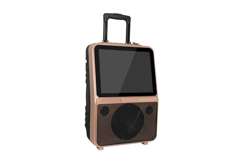 Portable Bluetooth Music Player