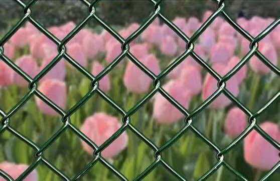 garden chain link mesh