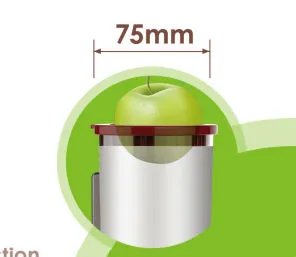 Household commercial cold press juicer
