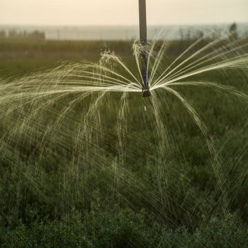 Self watering hose reel irrigation system boom models