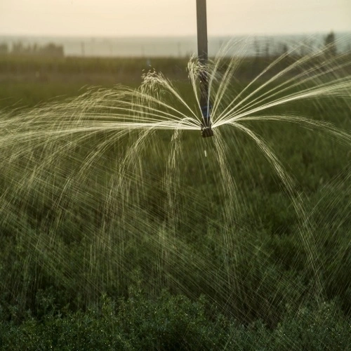 Self watering hose reel irrigation system boom models China