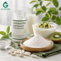 Lactobacillus Plantarum para suplementos dietéticos