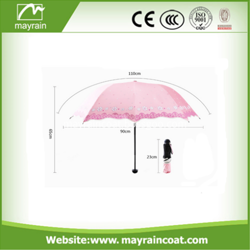 Umbrella with Customer