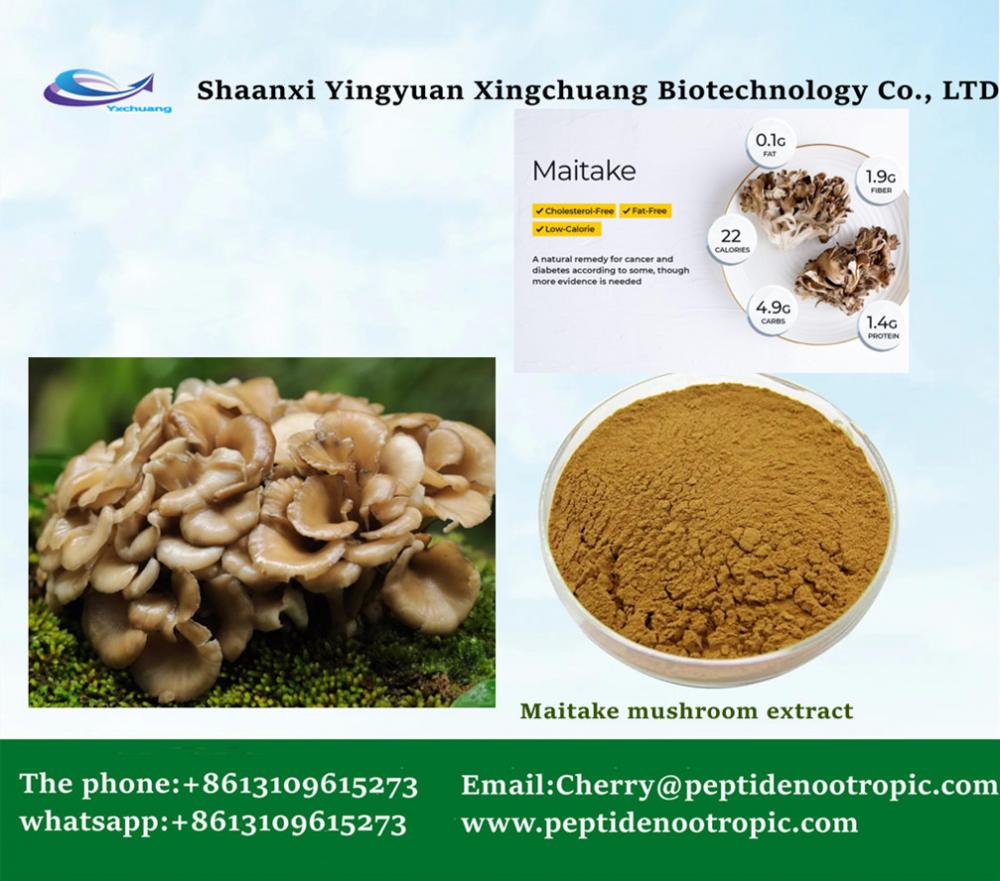 maitake mushroom fruit extract