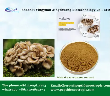 Maitake Mushroom Extract Powder 10:1