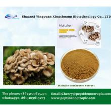 Maitake Mushroom Extract Powder 10:1