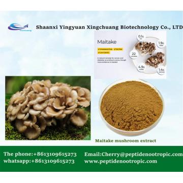 Maitake Mushroom Extract Powder 10: 1