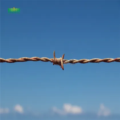 Barbed wire rachael sages