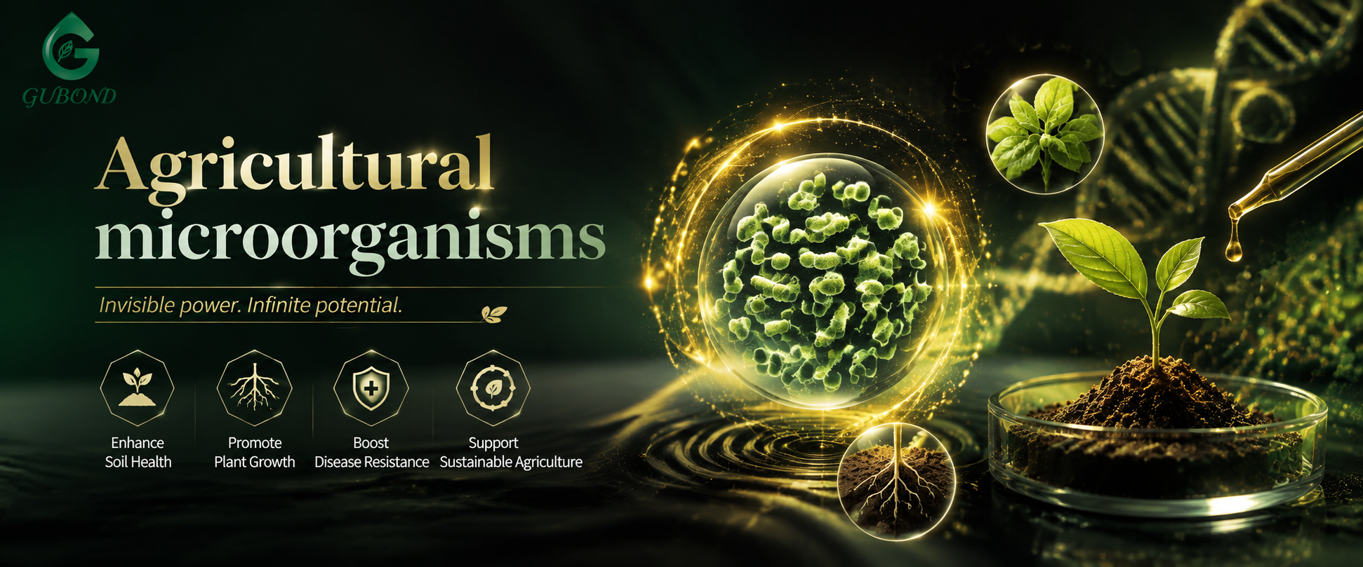 Agricultural microorganisms