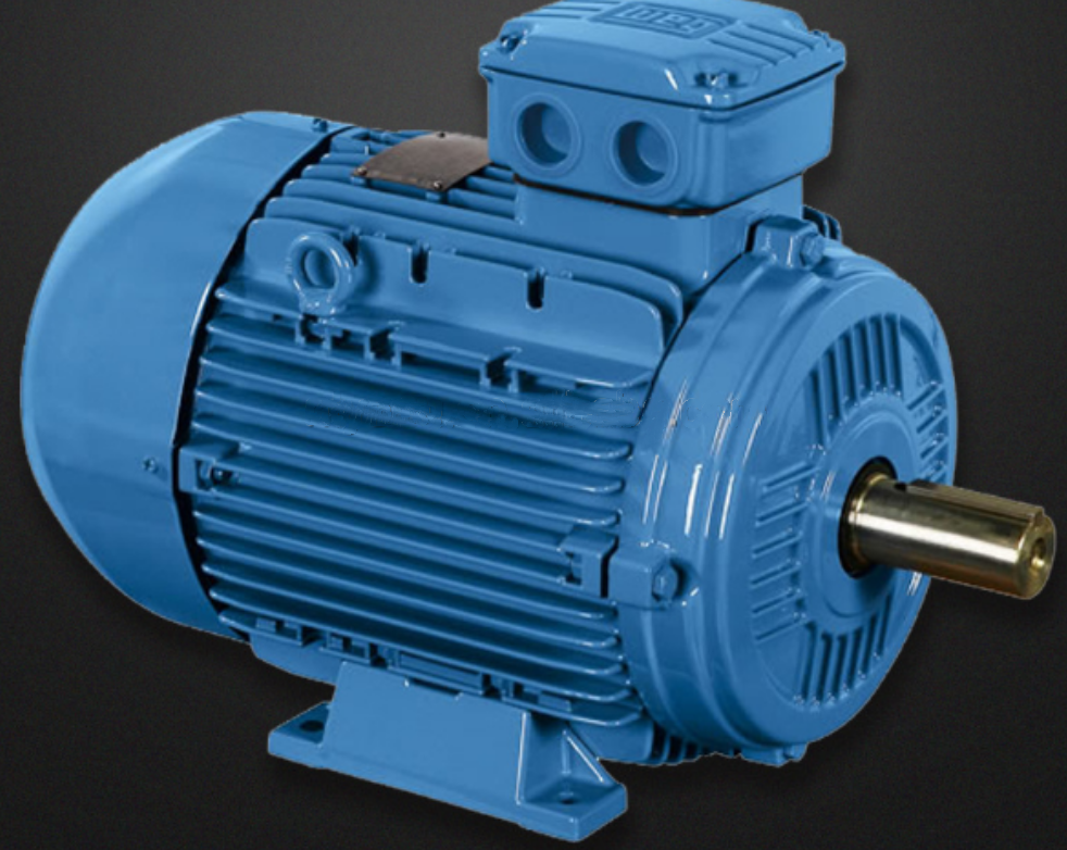 agitator motor