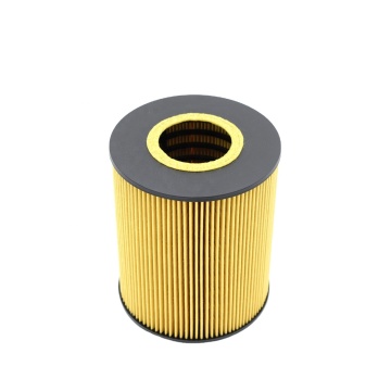 Oil Filter HU1381X OE646/1 LF3867 E13HD47 OX146D for Auto Truck