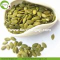 Supply Raw Shine Skin AA Pumpkin Seed Kernels