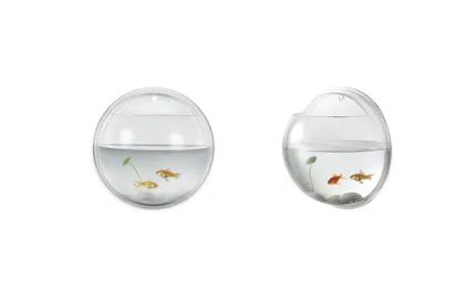 fish farming tank fish farming tanks for sale fish feed fish farming frozen fish ribbon fish