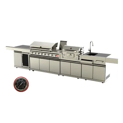 Hot Sale Garden Outdoor BBQ Gas & Charcoal Grill Portable Kitchen Grills