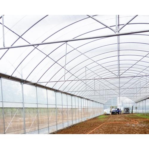 Arch Style Film Covered Greenhouse