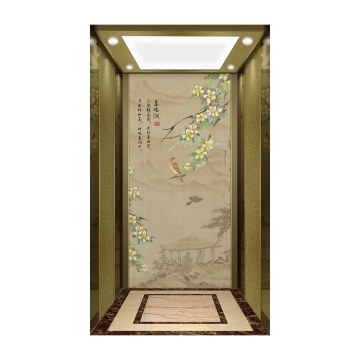 The Best Selling Luxury Refined Small Family Lift