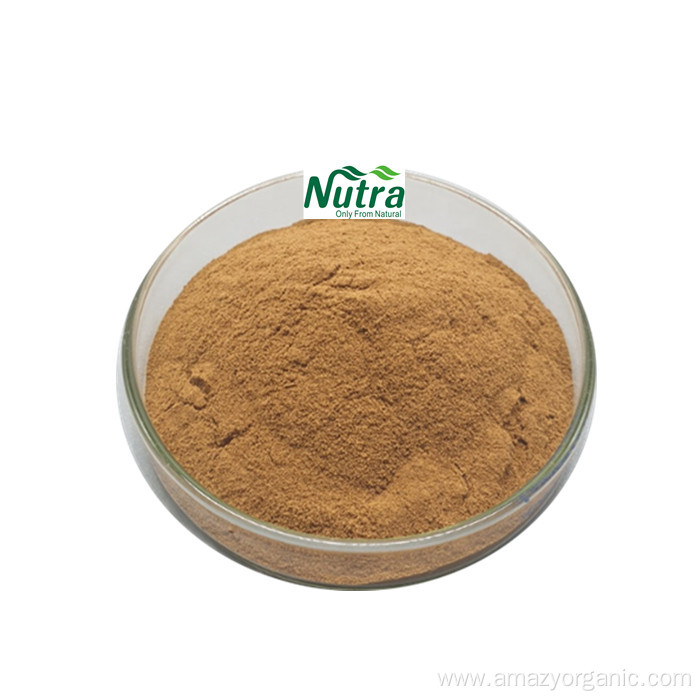 Best Price Black Cohosh Root Extract Powder 2.5%