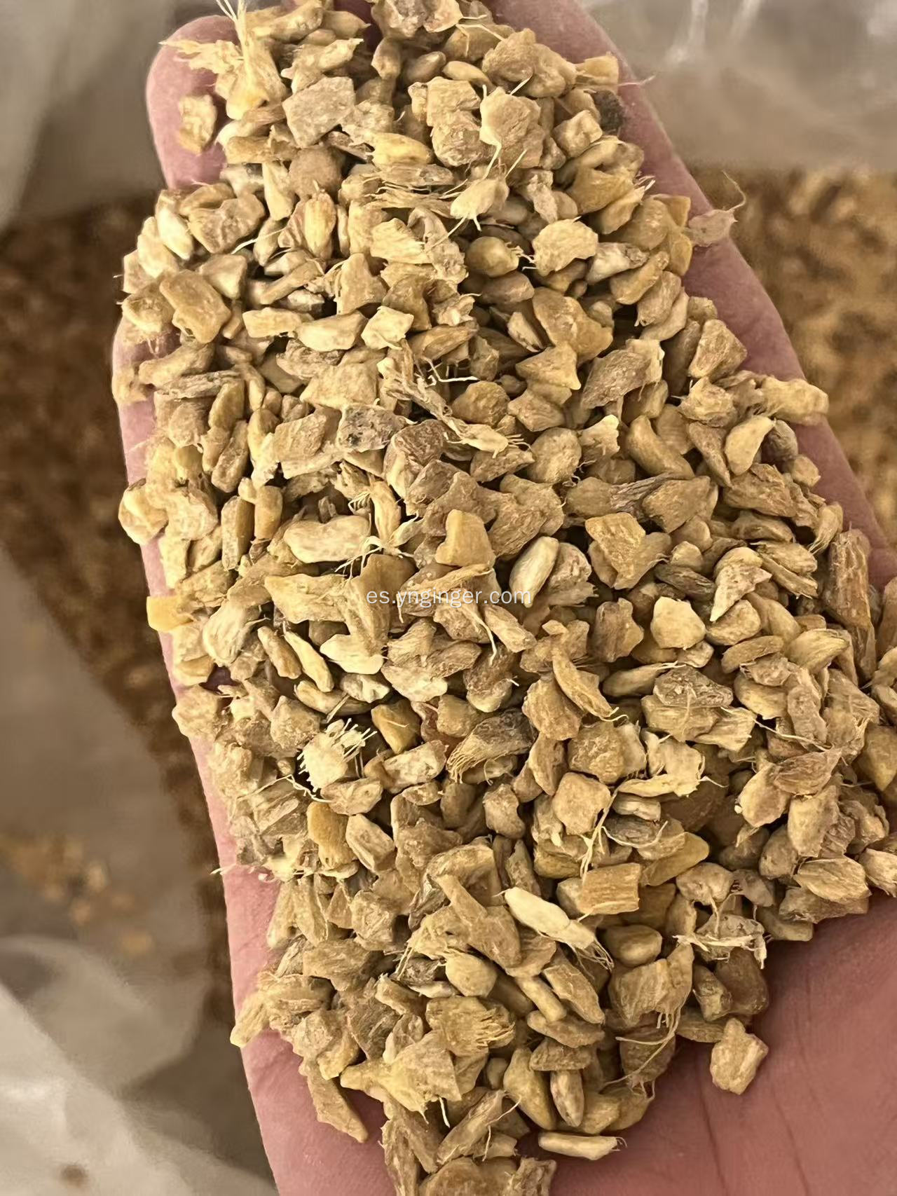 Gránulos de jengibre secos de grado de exportación OEM ODM