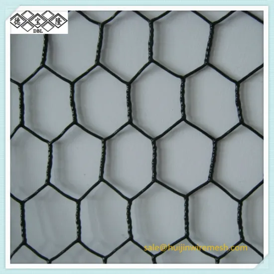 Hot Sale Hexagonal wire mesh/netting