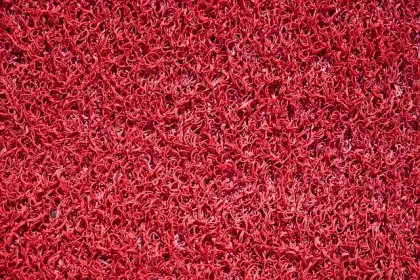 Rubber products odors absorbing agent