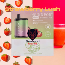 Gunnpod 4000 Puffs Australia горячая распродажа