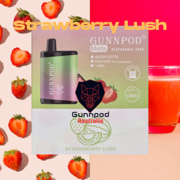 Gunnpod 4000 Puffs Australia Vente chaude