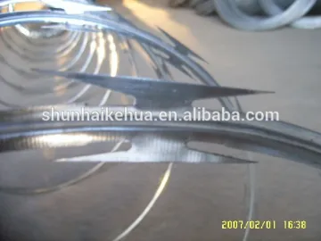 Direct Factory Hot Sales Galvanized Razor Barbed Wire (Export Quality)