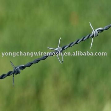 concertina razor barbed wire