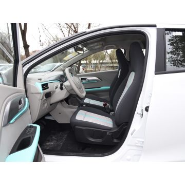 New Energy Electric Hatchback JMEV EV3