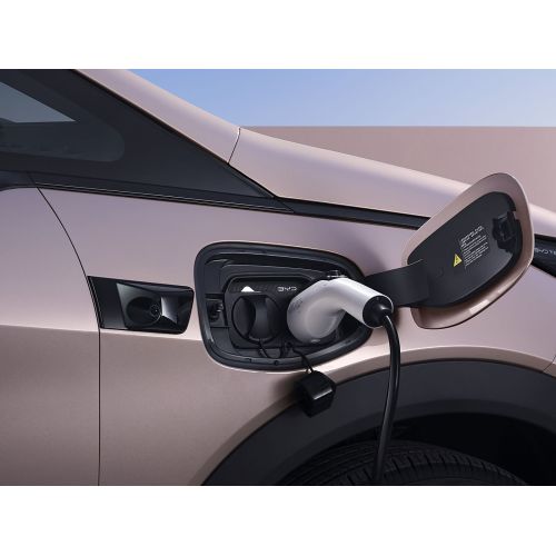 2025 Byd Dolphin 520 км Knight Edition