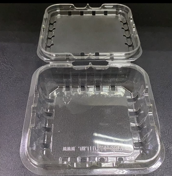 Blueberry Plastic Containers