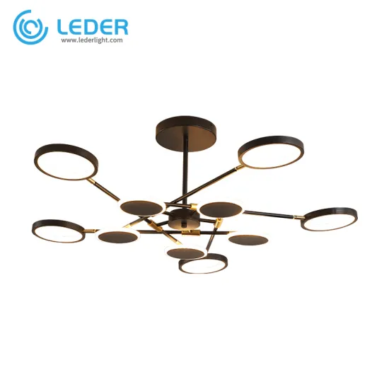 LEDER Led Home Ceiling Lightings