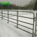 Useful animals of horse fence