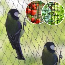 Memperbesar kelebihan serangga dan jaring burung
