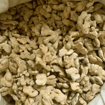 Wholesale Natural Chinese Dried Ginger Products