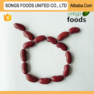 Chinese Dried Kidney Beans Red Kidney Beans