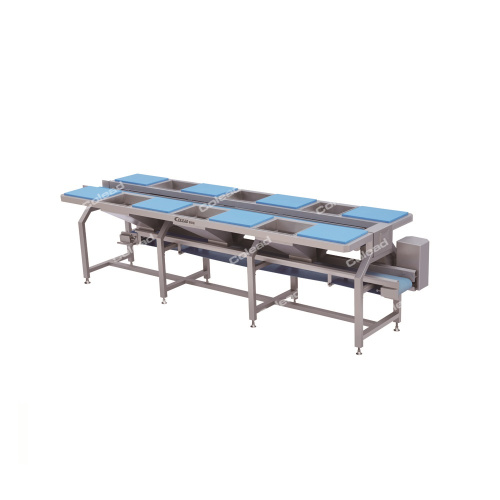 Picking And Sorting Conveyor for vegetable processing