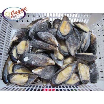 Best selling seafood shellfish products high quality frozen half shell mussel