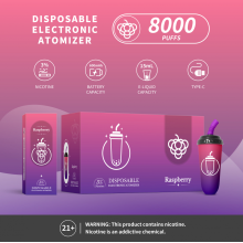 Stable de haute qualité 8000puffs mini e-cigarttte