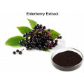 black elderberry extract Anthocyanins 10%