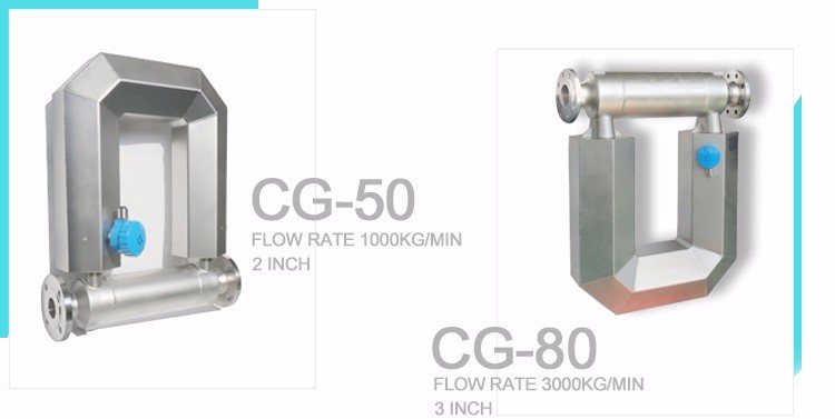 Mass flow meter for LNG/LPG/CNG