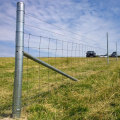 Continued supply twin wire fencing