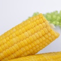Corn Snack with Protein