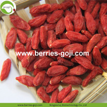 Mejora de la vista Natural Fuits Red Convencional Goji Berries